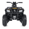 Квадроцикл M 4868EL-2-6(24V)