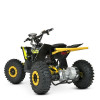 Квадроцикл HB-EATV08-350-6