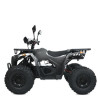 Квадроцикл HB-EATV1450F-P-2(MP3)
