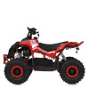Квадроцикл E-XBW-1200-3(MP3)