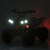 Квадроцикл E-XBW-1200-4(MP3)