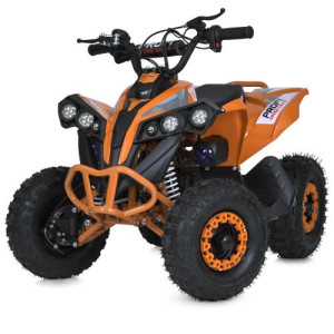 Квадроцикл E-XBW-1200-7(MP3) фото