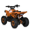 Квадроцикл E-XBW-1200-7(MP3)