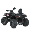 Квадроцикл M 6080EL-2(24V)