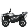 Квадроцикл M 6127EBLR-1(24V)
