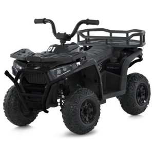 Квадроцикл M 6127EBLR-2(24V) фото