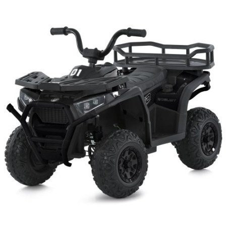 Квадроцикл M 6127EBLR-2(24V)