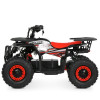 Детский электроквадроцикл Profi HB-FFA1000-2-3