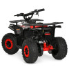 Детский электроквадроцикл Profi HB-FFA1000-2-3