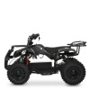Детский электроквадроцикл Profi HB-EATV1000N-19