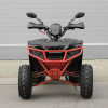 Детский квадроцикл Profi AX125-2-3
